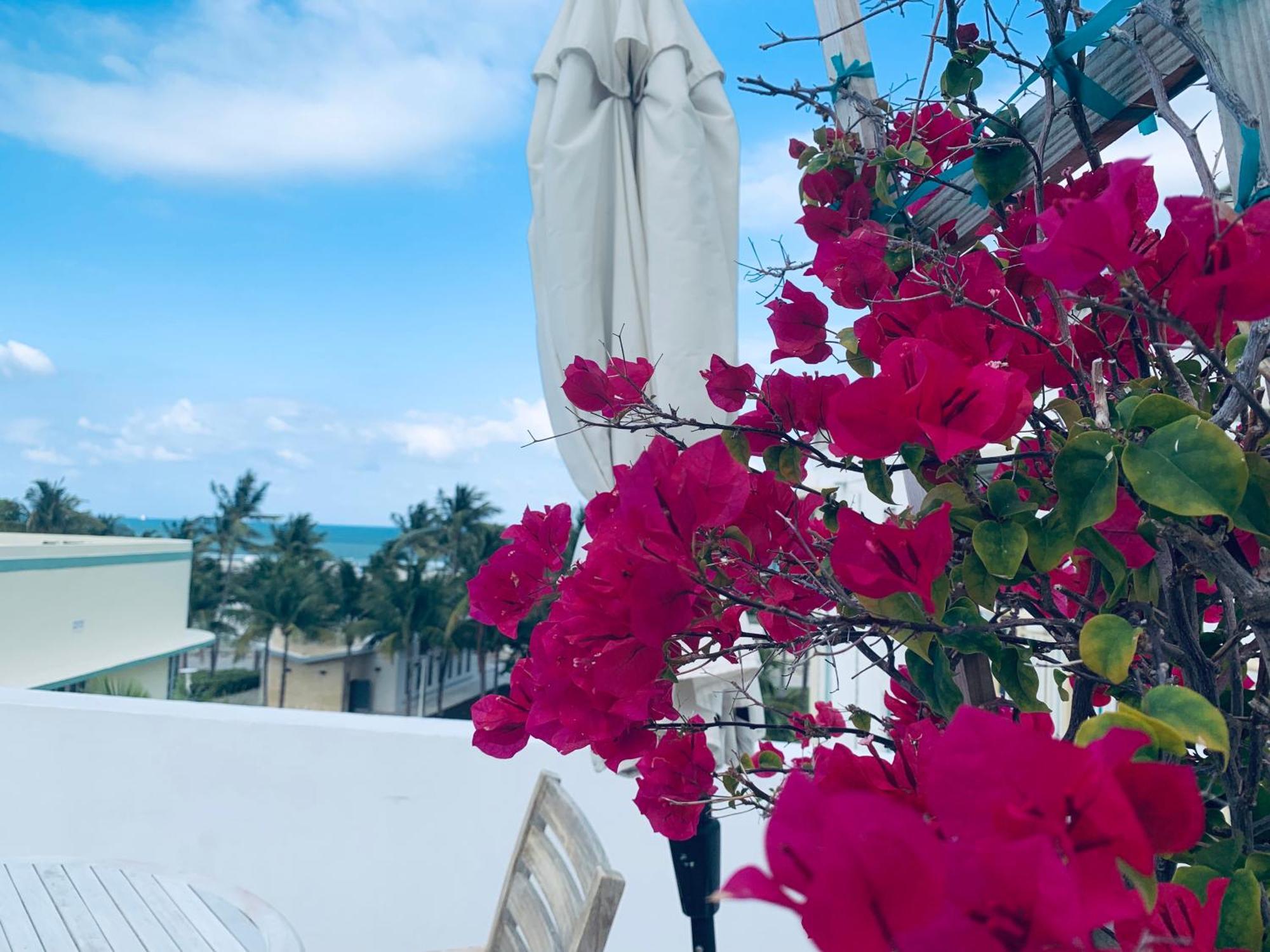 Sunrise Penthouse Ocean View Terrace Beach Few Steps Away Sobe Маями Бийч Екстериор снимка